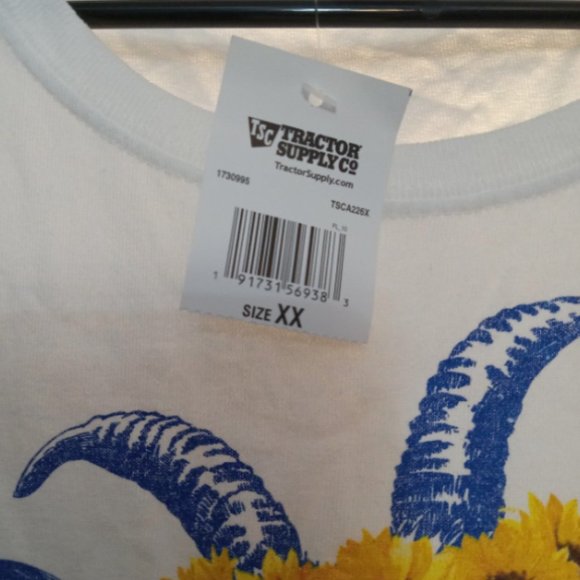 Tshirt - Picture 3 of 3